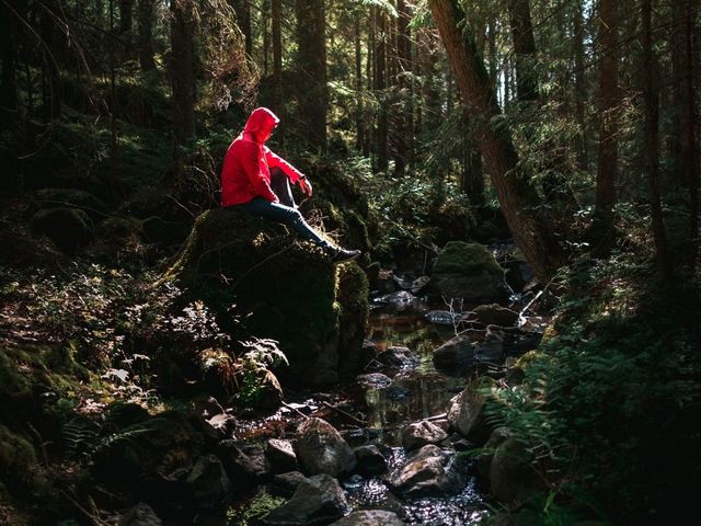 Mensch in roter Regenjacke sitzt auf einem Stein im Wald