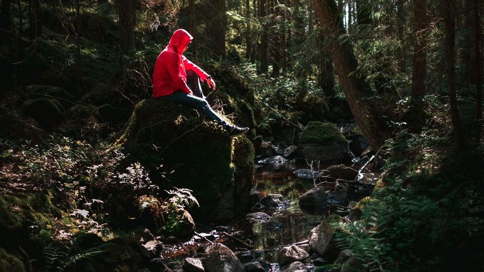 Mensch in roter Regenjacke sitzt auf einem Stein im Wald