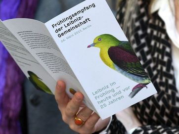 Ausschnitt einer den Flyer des Leibniz-Frühlingsempfangs lesenden Frau