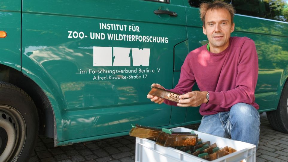 Mann mit Mäusefalle in der Hand