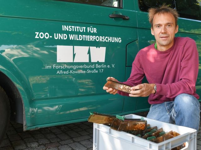 Mann mit Mäusefalle in der Hand