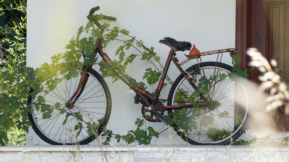 Mit Pflanzen überwachsendes Fahrrad
