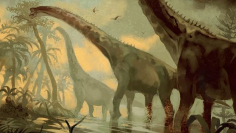 Das Bild zeigt einen Dinosaurier aus der Gattung der Giraffatitanen.