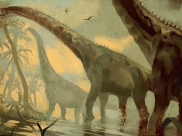 Das Bild zeigt einen Dinosaurier aus der Gattung der Giraffatitanen.