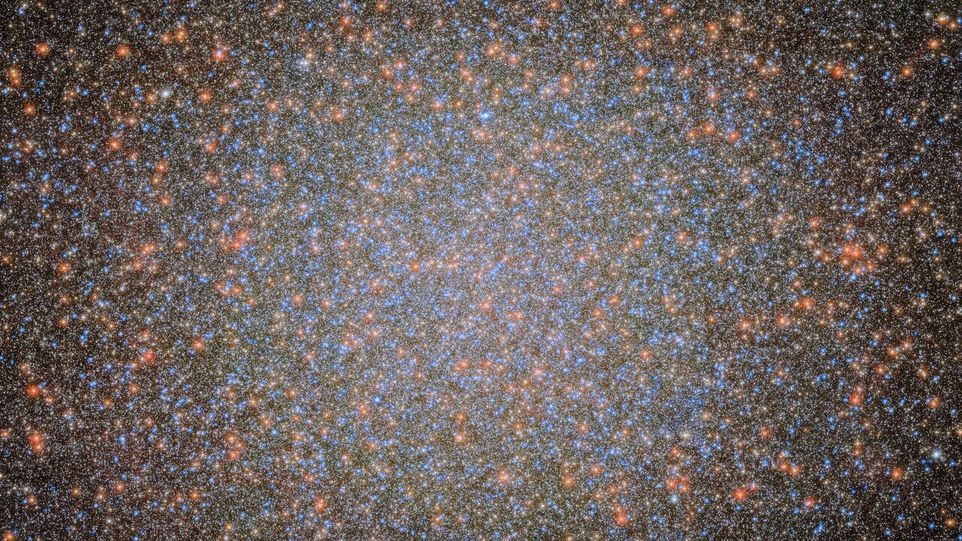 Ein Blick in den Sternhaufen Omega Centauri, aufgenommen mit dem Weltraumteleskop Hubble: Hier befindet sich das neu entdeckte Schwarze Loch. Identifiziert wurde es durch sieben schnell bewegte Sterne in seiner Umgebung.