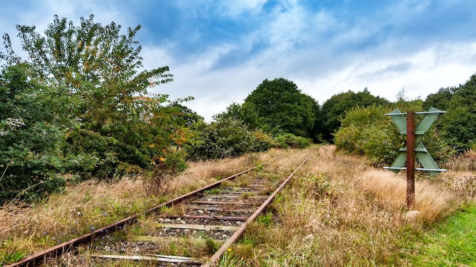 Alte Bahngleise, von Gras überwuchert