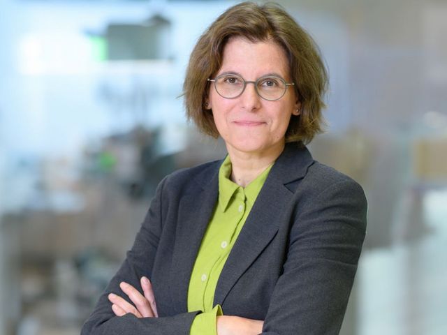 Portrait Bertschek