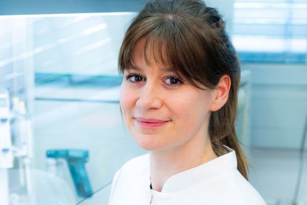 Vier ERC Starting Grants für Leibniz