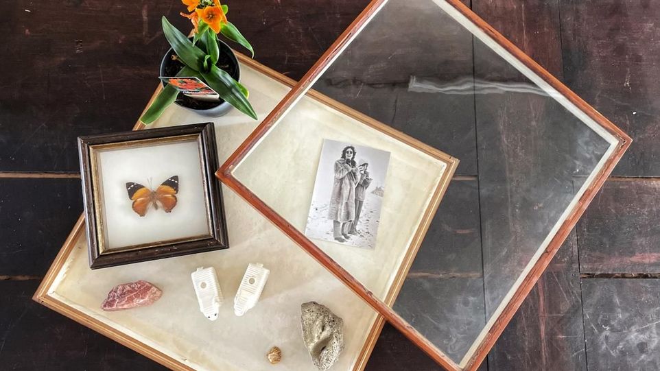 Glaskasten mit Foto, Pflanze, Steinen und Schmetterling