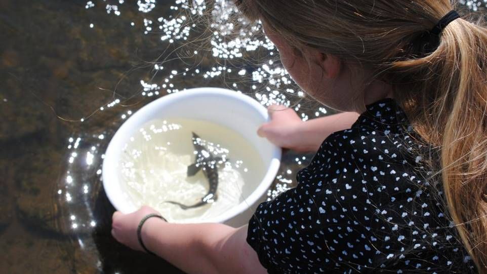 Mädchen an einem Fluss, in ihren Händen eine weiße Schüssel in welcher sich ein gefangener Fisch befindet