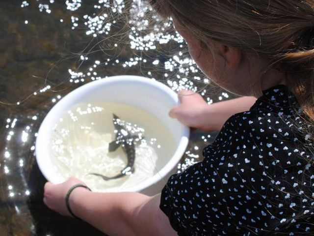 Mädchen an einem Fluss, in ihren Händen eine weiße Schüssel in welcher sich ein gefangener Fisch befindet