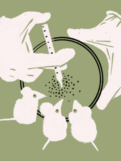 Drei Mäuse schauen auf eine Petrischale mit winzigen Partikeln und einer Pipette.