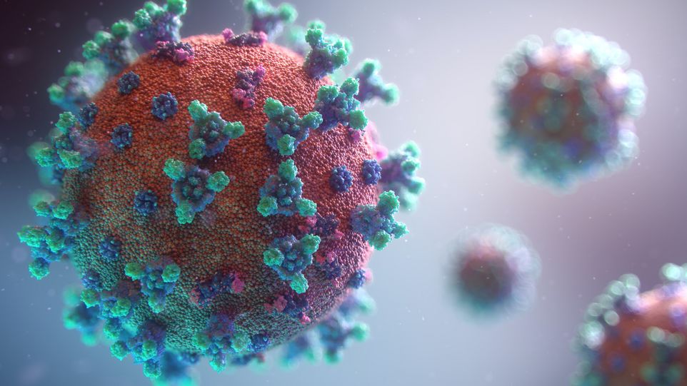 Illustration eines Corona-Virus​