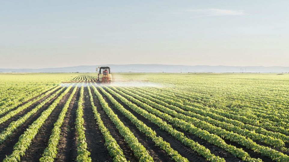 Maschine versprüht Pestizide auf einem Feld