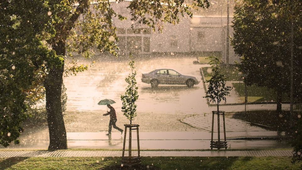 Straße im Regen