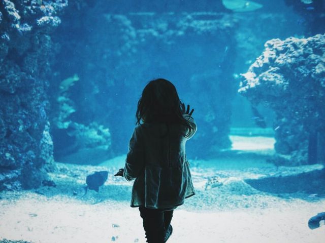 Ein kleines Mädchen steht vor einer Glasscheibe, hinter der sich Fische befinden