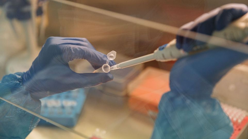 Hands pouring liquid into a glass using a pipette