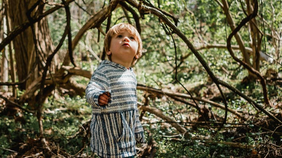 Kleines Kind blickt sich im Wald um