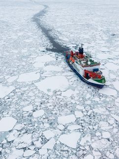 Ein großes Schiff, ein Eisbrecher, fährt durch Eisschollen und hinterlässt eine dunkle Fahrrinne.