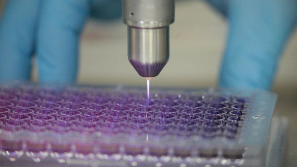Das Leibniz-Institut für Plasmaforschung und Technologie in Greifswald forscht im Rahmen des Projekts Target-H an einer für die Hautkrebsbehandlung optimierten Kaltplasma-Technologie Proben werden mit Plasmastrahl behandelt