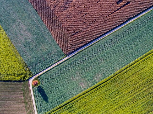 Luftbild von bunten Feldern