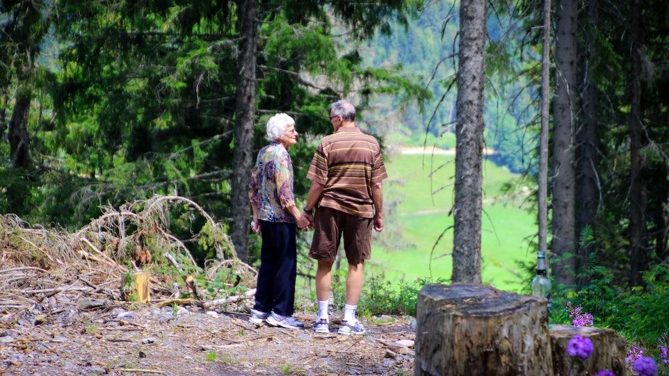 Älteres Paar steht Hand in Hand in einem Nadelwald