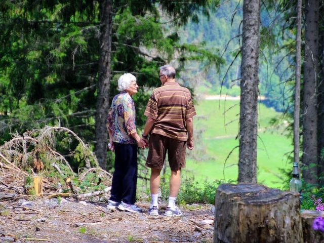 Älteres Paar steht Hand in Hand in einem Nadelwald