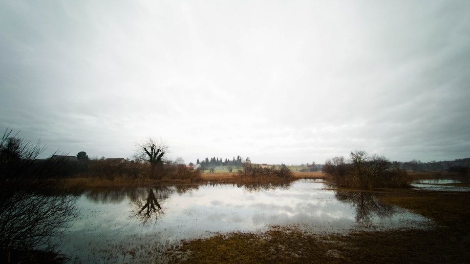 Peatland