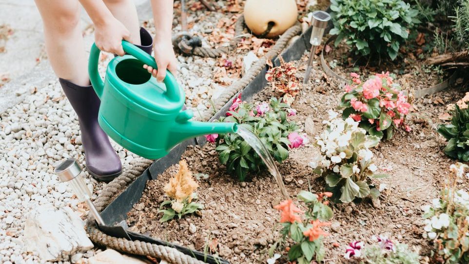 Bewässerung von Gartenblumen