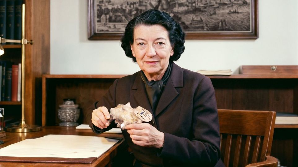 Mit Hilfe von KI erstellt: Paläontologin Tilly Edinger am Schreibtisch mit einem Endocast, einem Abguss des Schädelinneren, in der Hand.