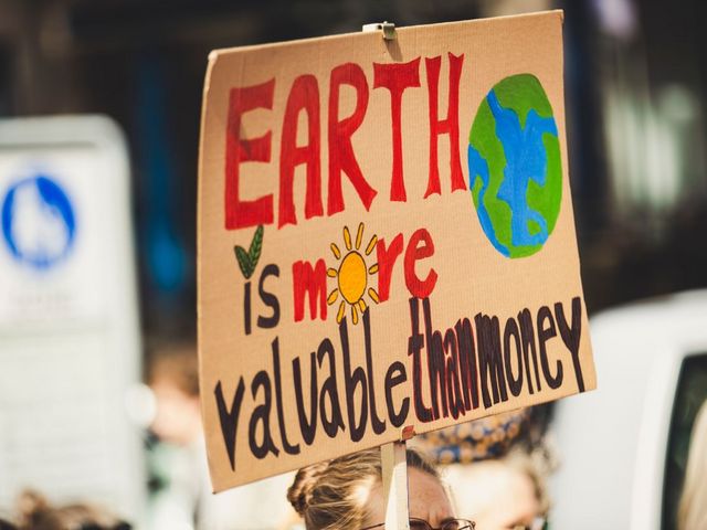 Demo-Plakat mit Aufschrift "Earth is more valuable than money"