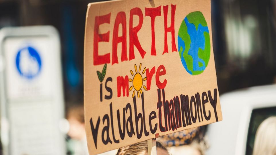 Demo-Plakat mit Aufschrift "Earth is more valuable than money"