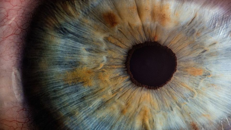 Close-up of an eye