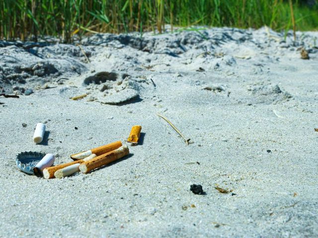 Kippen an einem Strand