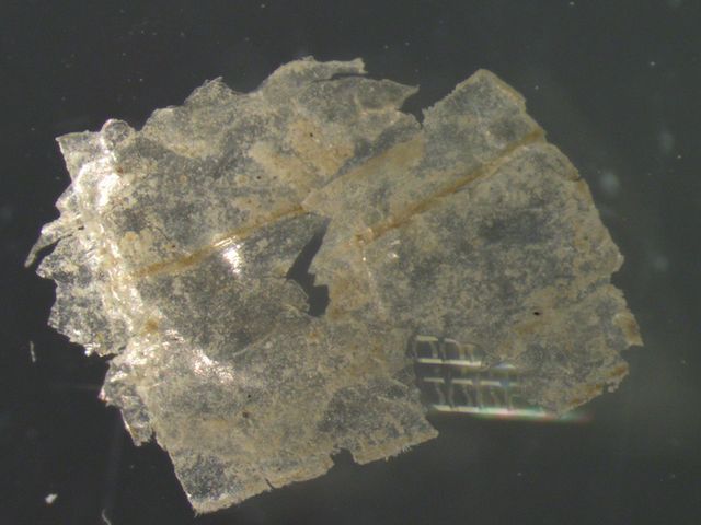 Mikroplastik-Teilchen