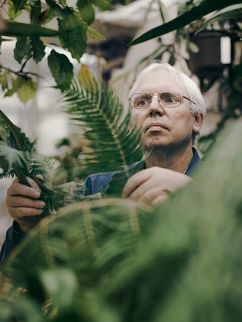 Ludger Wessjohann schaut hinter Farnen und anderen grünen Pflanzen hervor.