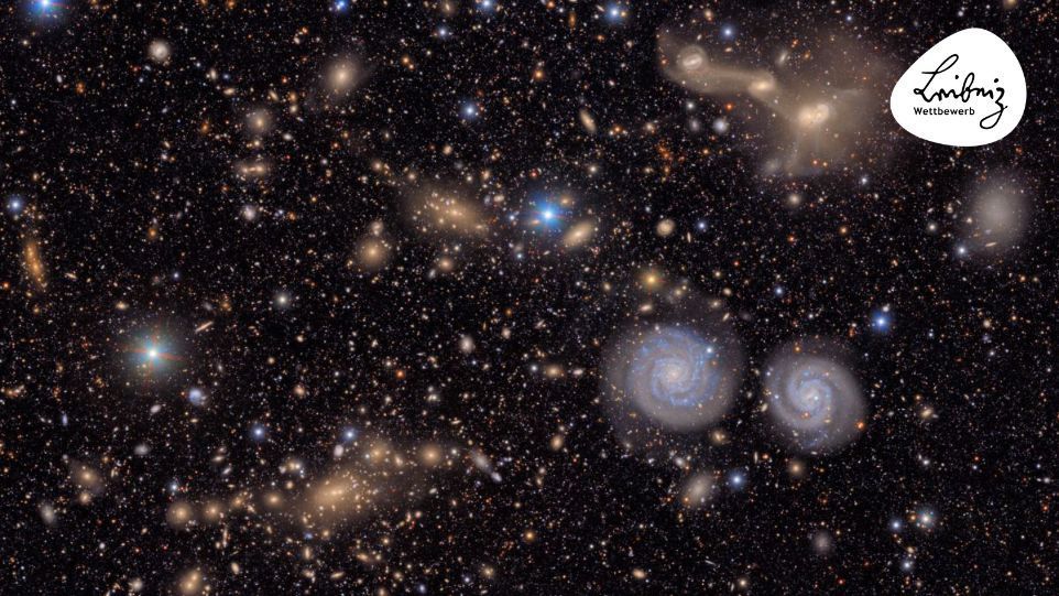 Ausschnitt des Virgo-Galaxienhaufens Galaxie