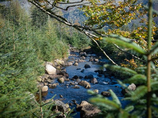 Bergfluss
