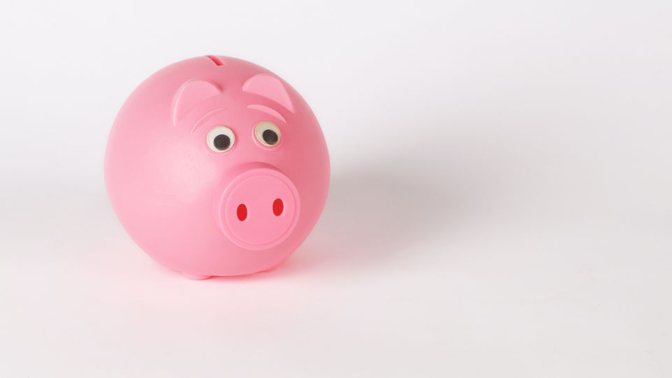 Rosa Sparschwein