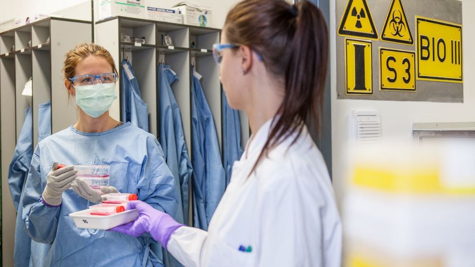 Doktorandin Stefanie Gierer (rechts) übergibt Doktorandin Adeline Heurich an der Schleuse Proben für das S3-Labor Zwei Frauen mit Kitteln im Labor