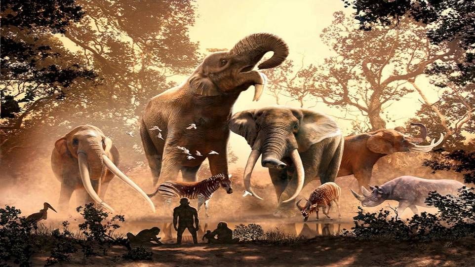 Illustration mit vier mächtig wirkenden Elefanten an einem Wasserloch im Dschungel, im Vordergrund Zebras, ein Nashorn und Menschenaffen