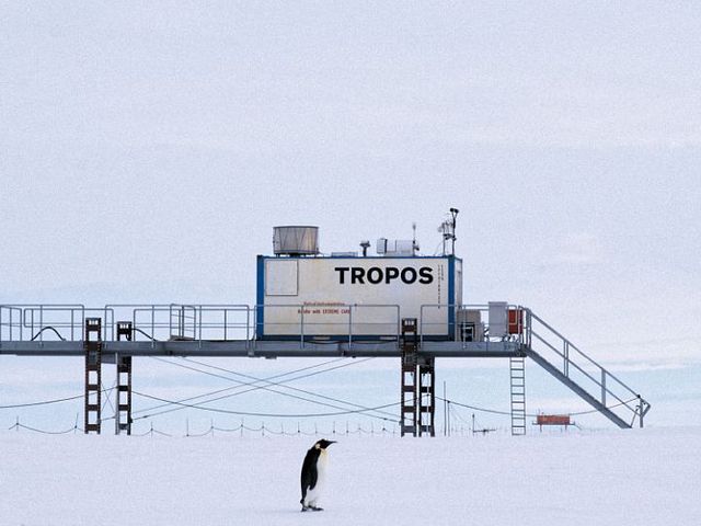 Schneelandschaft mit Container mit der Aufschrift "TROPOS", davor ein Pinguin