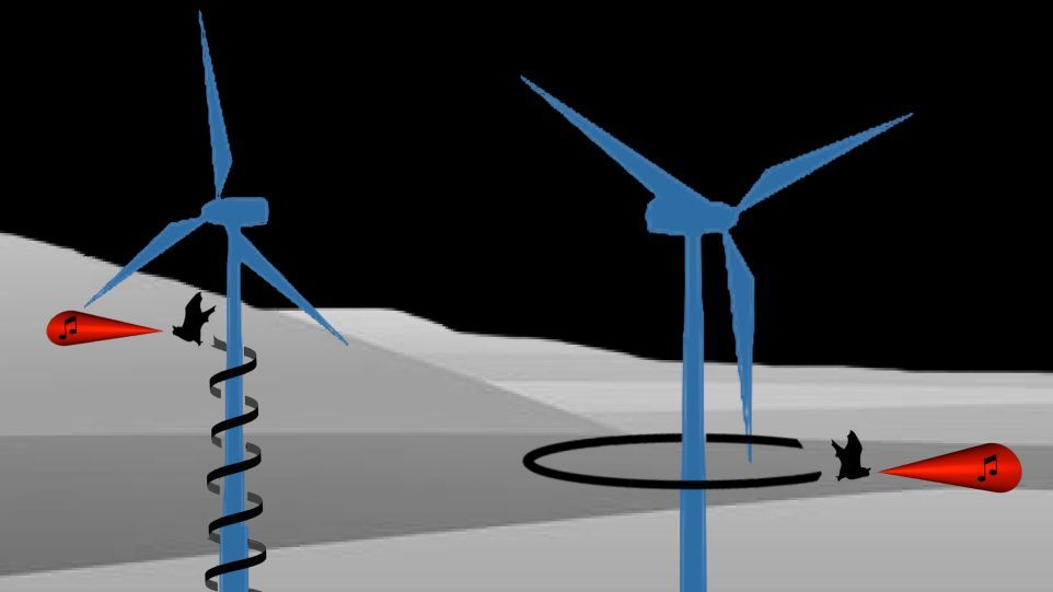 Schemazeichnung von um Windenergieanlagen kreisenden, singenden Fledermäusen Fledermäuse im Rotorbereich von Windkraftanlagen beim Singen