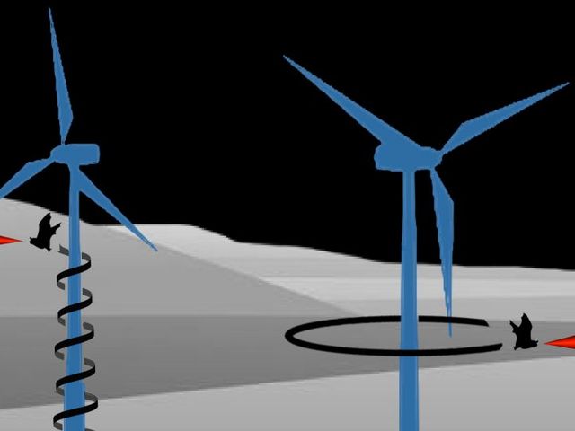 Fledermäuse im Rotorbereich von Windkraftanlagen beim Singen