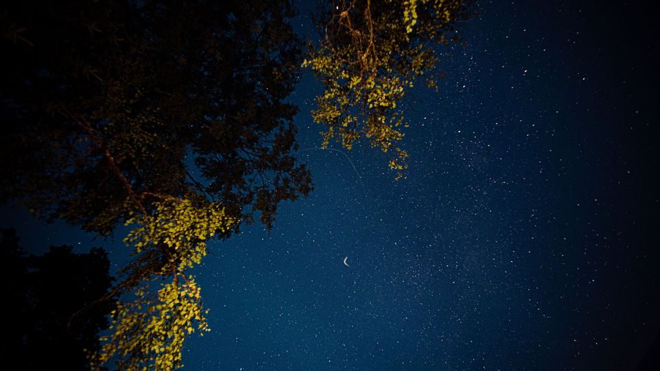 Sternenhimmel bei Nacht bei geringer Beleuchtung