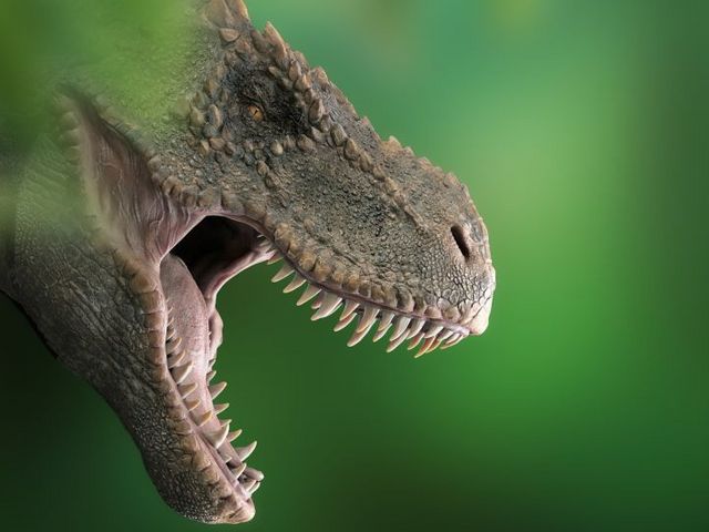 Kopf einer Dinosaurier-Nachbildung