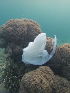 Plastik im Meer Bali Leibniz Magazin