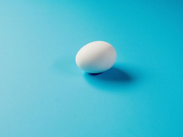 Hühnerei vor blauem Hintergrund