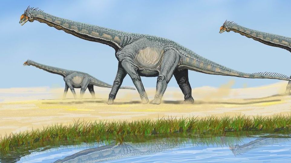 Grafik: Drei Sauropoden laufen durch eine karge Landschaft