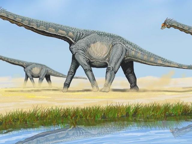 Grafik: Drei Sauropoden laufen durch eine karge Landschaft
